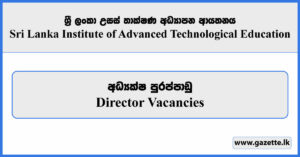 Director - Sri Lanka Institute of Advanced Technological Education Vacancies 2024