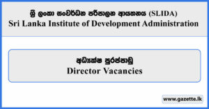 Director - Sri Lanka Institute of Development Administration Vacancies 2025