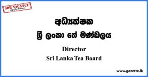 Director Vacancies