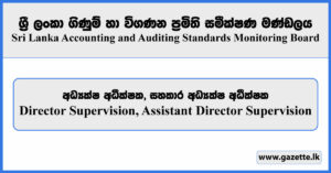 Director Supervision, Assistant Director Supervision - Sri Lanka Accounting and Auditing Standards Monitoring Board Vacancies 2024