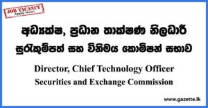 Director, Chief Technology Officer - Securities and Exchange Commission Vacancies 2023