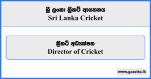 Director of Cricket - Sri Lanka Cricket Vacancies 2024