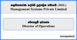 Director of Operations - Management Systems Private Limited Vacancies 2026