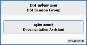 Documentation Assistant - DSI Samson Group Vacancies 2023