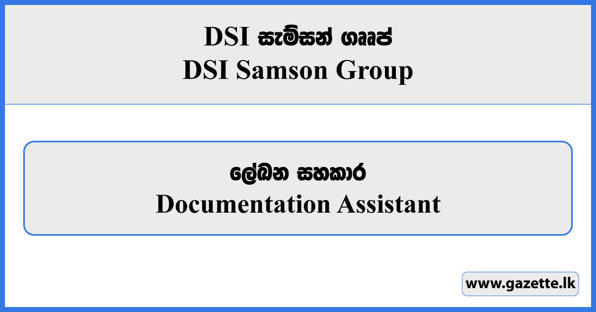 Documentation Assistant - DSI Samson Group Vacancies 2023