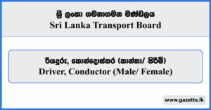 Driver, Conductor - Sri Lanka Transport Board Vacancies 2025
