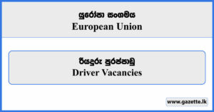 Driver - European Union Vacancies 2024