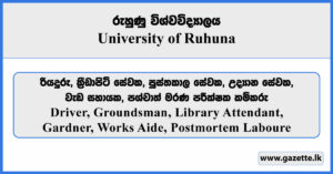 Driver, Groundsman, Library Attendant, Gardner, Works Aide, Postmortem Laboure - University of Ruhuna Vacancies 2025