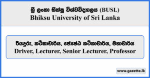 Driver, Lecturer, Senior Lecturer, Professor - Bhiksu University of Sri Lanka Vacancies 2026