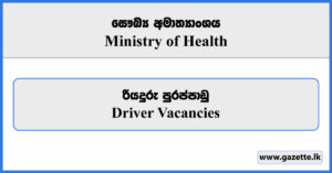 Driver - Ministry of Health Vacancies 2024