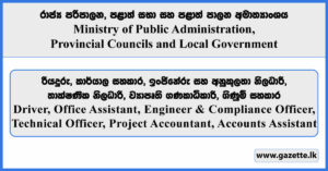 Project Staff for RIDEP - Ministry of Public Administration, Provincial Councils, and Local Government Vacancies 2026