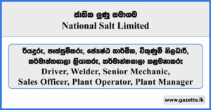 Driver, Welder, Senior Mechanic, Sales Officer, Plant Operator, Plant Manager - National Salt Limited Vacancies 2026