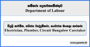 Electrician, Plumber, Circuit Bungalow Caretaker - Department of Labour Vacancies 2025