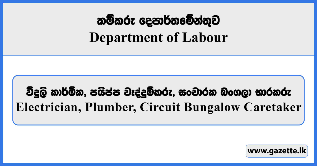 Electrician, Plumber, Circuit Bungalow Caretaker - Department of Labour Vacancies 2025
