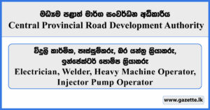 Electrician, Welder, Heavy Machine Operator, Injector Pump Operator - Central Provincial Road Development Authority Vacancies 2026