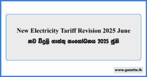Electricity Tariff Revision 2025 June - New Electricity Charges