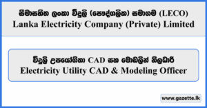 Electricity Utility CAD & Modeling Officer - LECO Vacancies 2026