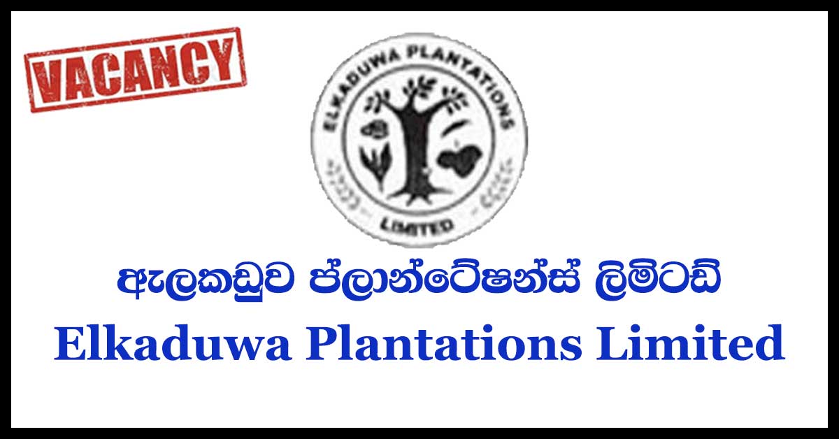 Elkaduwa-Plantations-Limited