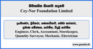 Engineer, Clerk, Accountant, Storekeeper, Quantity Surveyor, Mechanic, Electrician - Cey-Nor Foundation Limited Vacancies 2025