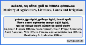 Engineer, Finance Officer, Procurement Officer, Project Secretary, Audit Assistant, MIS Officer, Finance and Administration Officer, Monitoring & Evaluation Officer - Ministry of Agriculture, Livestock, Lands and Irrigation 2026