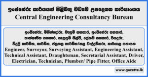 Engineer, Surveyor, Surveying Assistant, Engineering Assistant, Technical Assistant, Draughtsman, Secretarial Assistant, Driver, Electrician, Technician, Plumber/ Pipe Fitter, Office Aide - Central Engineering Consultancy Bureau 2025