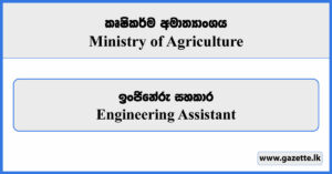 Engineering Assistant - Ministry of Agriculture & Plantation Vacancies 2024