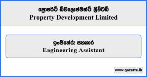 Engineering Assistant - Property Development Limited Vacancies 2025