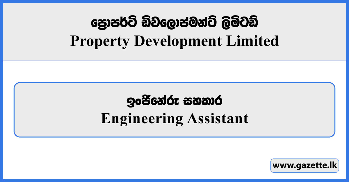 Engineering Assistant - Property Development Limited Vacancies 2025