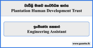 Engineering Assistant - Plantation Human Development Trust Vacancies 2023