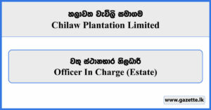 Officer In Charge (Estate) - Chilaw Plantation Limited Vacancies 2026