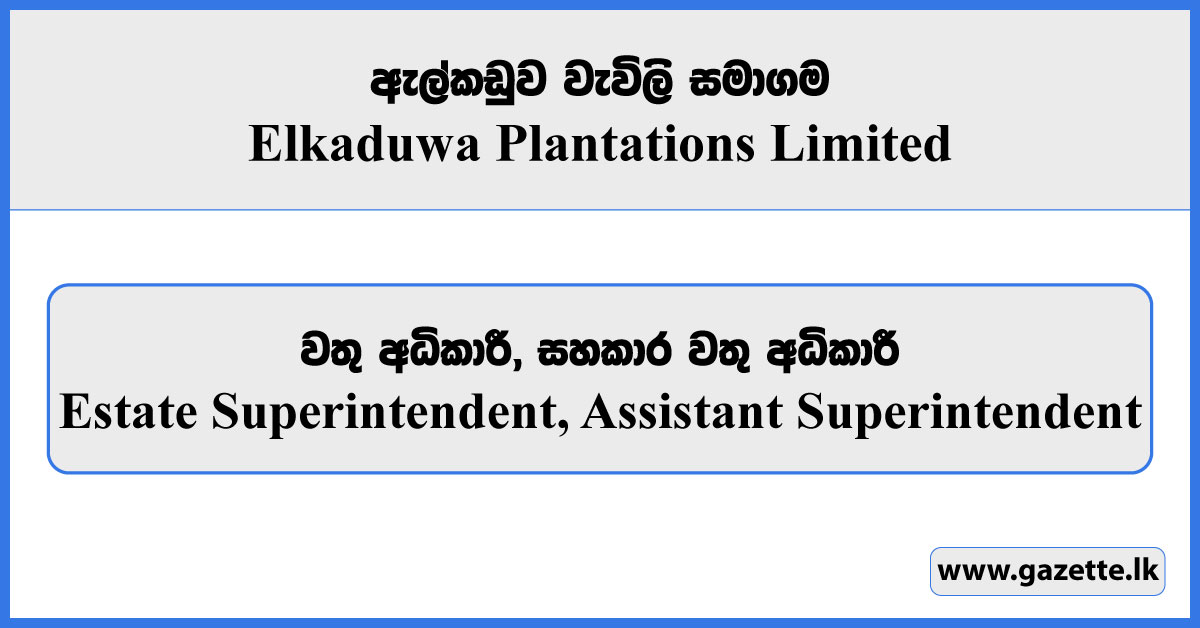 Estate Superintendent, Assistant Superintendent - Elkaduwa Plantations Limited Vacancies 2026