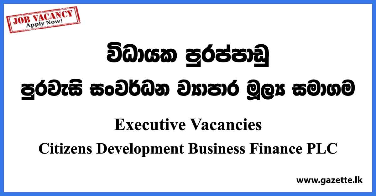 Executive - Citizens Development Business Finance PLC