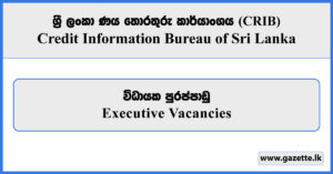 Executive - Credit Information Bureau of Sri Lanka Vacancies 2025