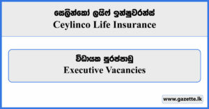 Executive - Ceylinco Life Insurance Vacancies 2023