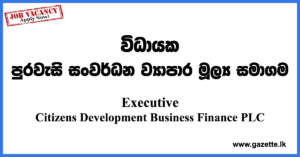 Executive-Credit-Card-Recoveries-CDB-www.gazette.lk