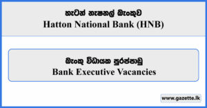 Executive - Hatton National Bank Vacancies 2024