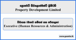 Executive - Property Development Limited Vacancies 2026