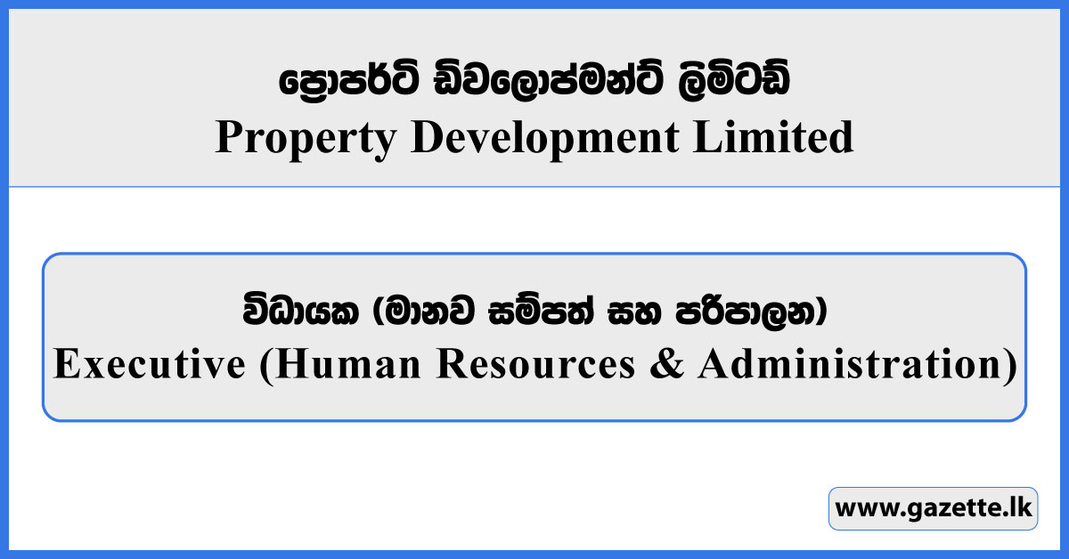 Executive - Property Development Limited Vacancies 2026