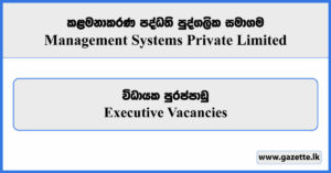 Executive - Management Systems Private Limited Vacancies 2025