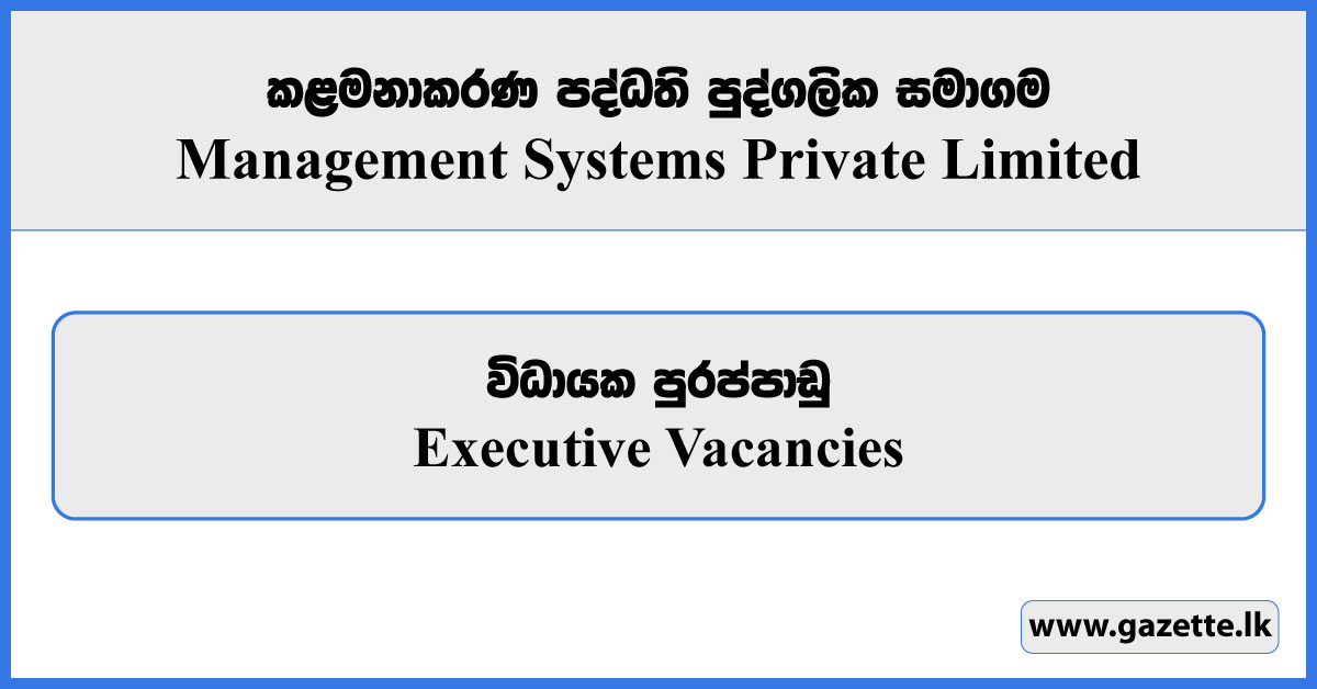 Executive - Management Systems Private Limited Vacancies 2025