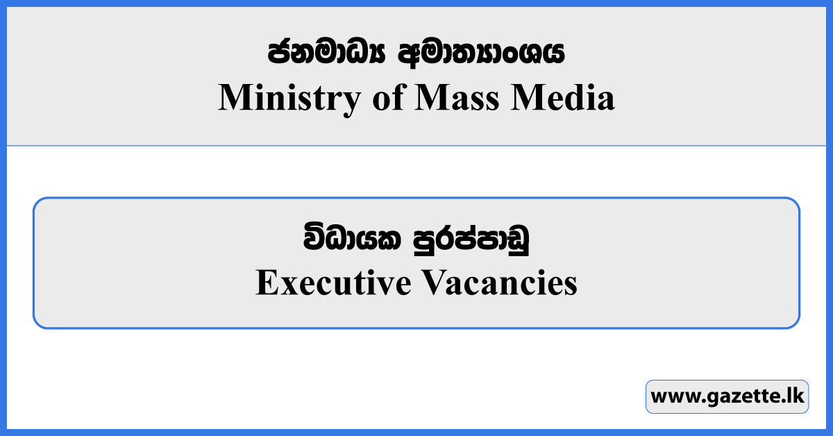 Executive - Ministry of Mass Media Vacancies 2024