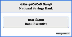 Bank Executive - NSB Bank Vacancies 2023