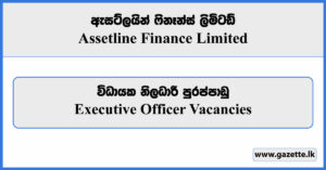 Executive Officer - Assetline Finance Limited Vacancies 2023