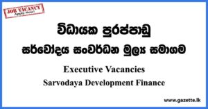 Executive - Sarvodaya Development Finance Vacancies 2023