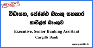 Executive, Senior Banking Assistant