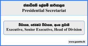 Executive, Senior Executive, Head of Division - Presidential Secretariat Vacancies 2023