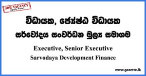 IT Executive - Sarvodaya Development Finance Vacancies 2023