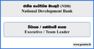 Executive / Team Leader - National Development Bank Vacancies 2026