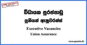Executive - Union Assurance Vacancies 2023