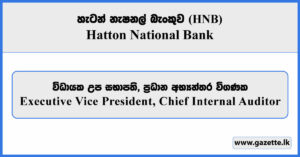 Executive Vice President, Chief Internal Auditor - Hatton National Bank Vacancies 2025